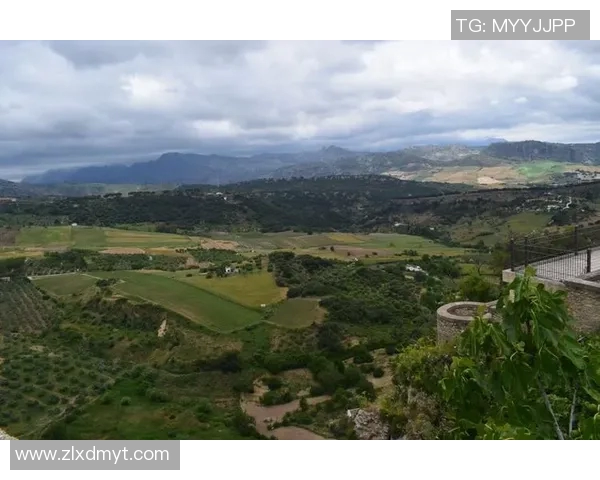 太阳与勇士精彩对决录像回放分析4月6日比赛全景解读 太阳与勇士精彩对决录像回放分析4月6日比赛全景解读